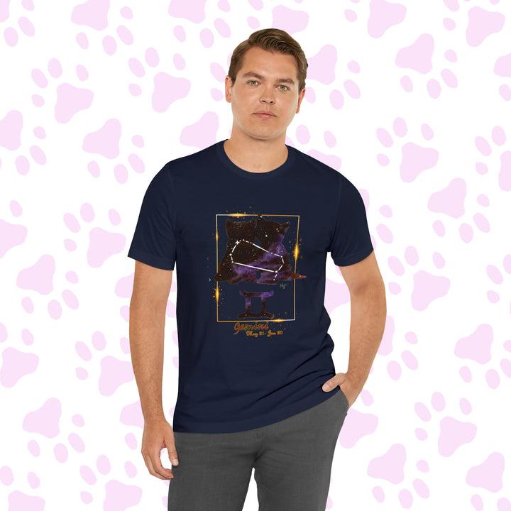 Gemini Zodicat