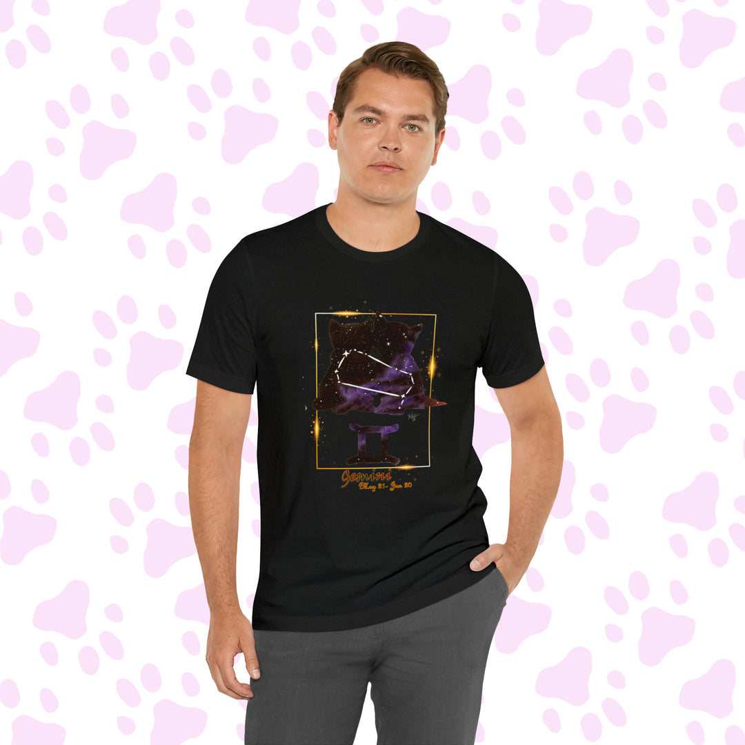Gemini Zodicat