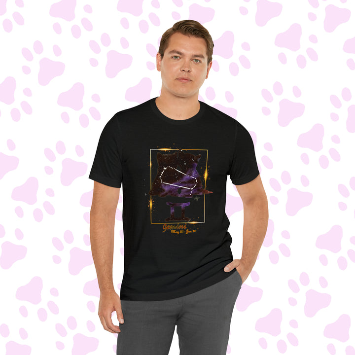 Gemini Zodicat
