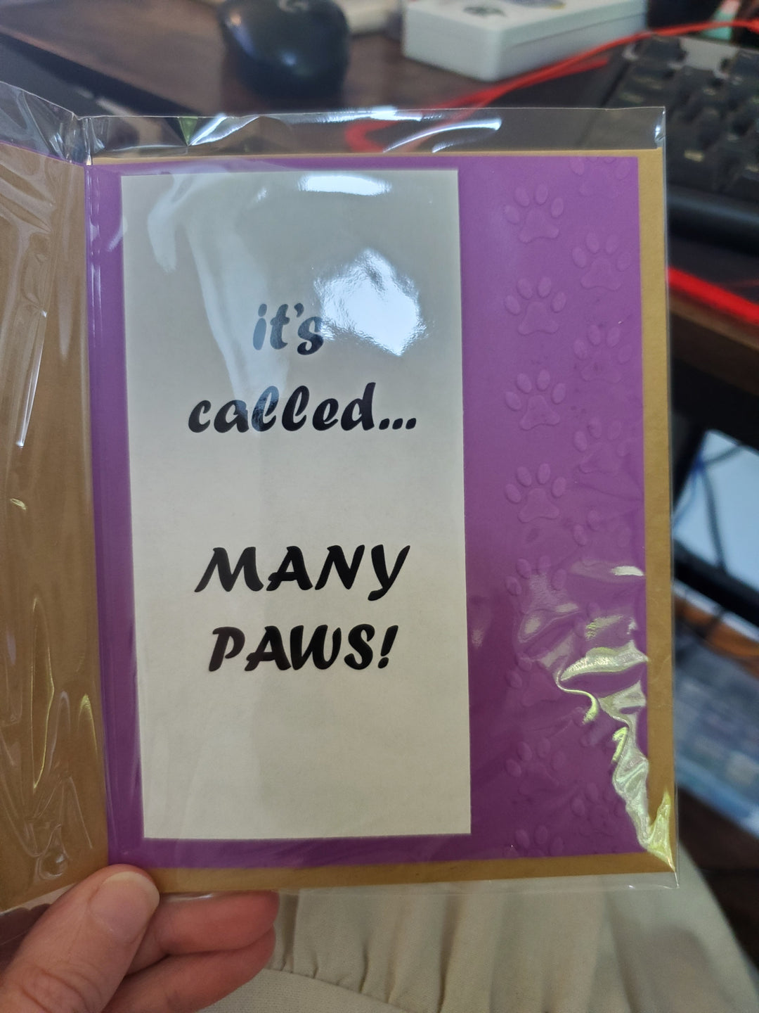 Many Paws - Kitty Card