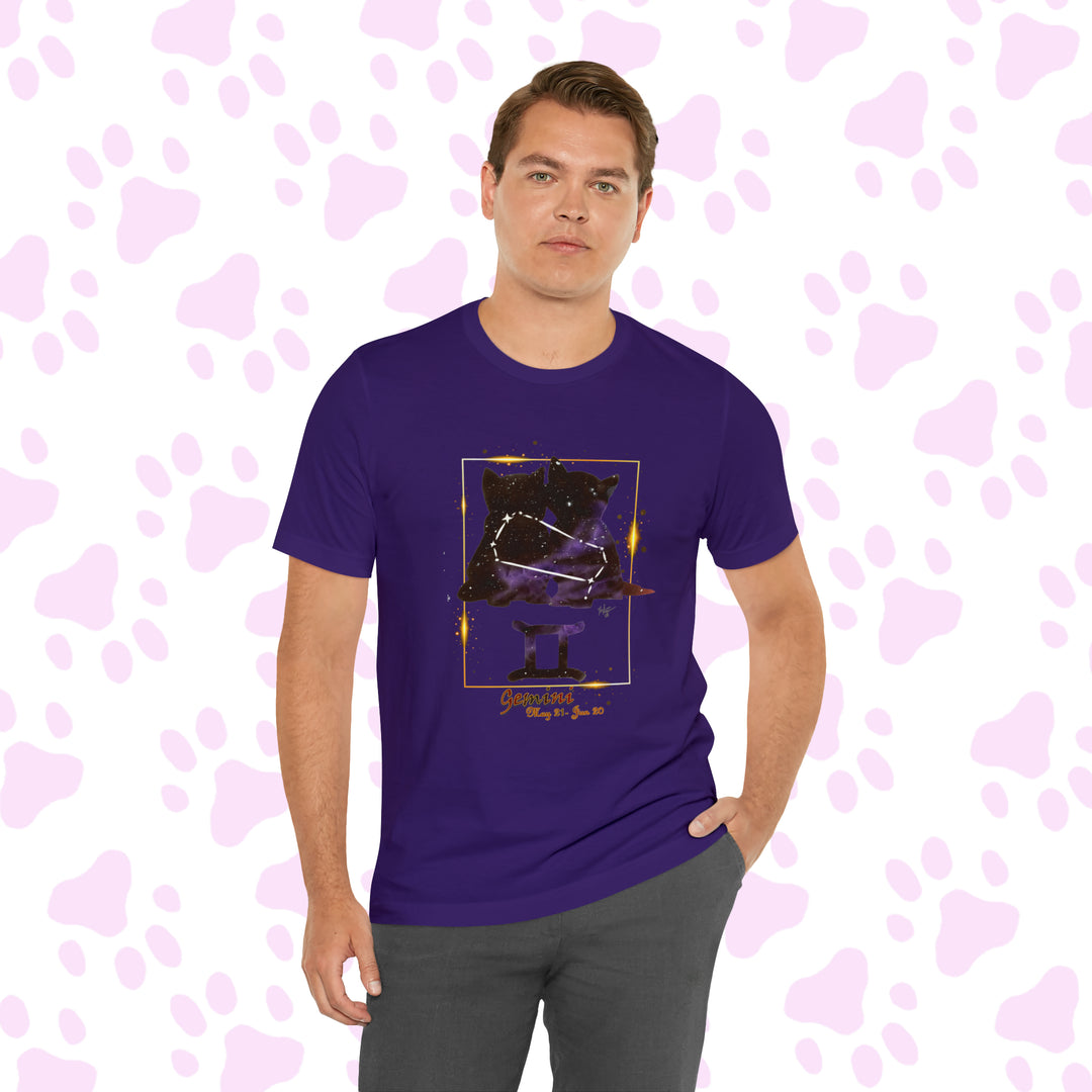 Gemini Zodicat