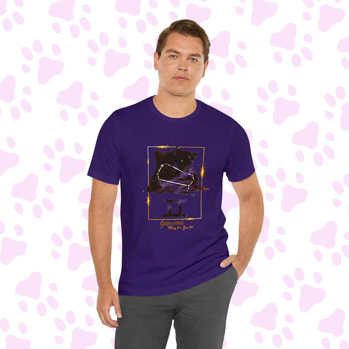 Gemini Zodicat